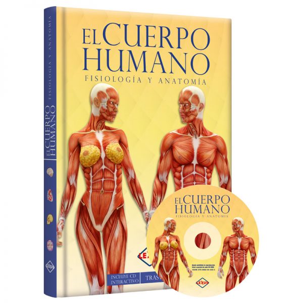 img-2019-01-cuerpo_humano_LXCHU2-600x600.jpg